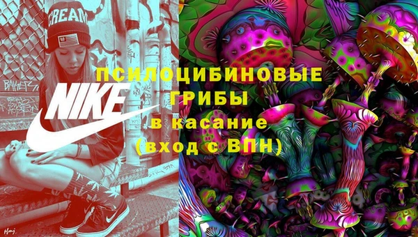 2c-b Алзамай