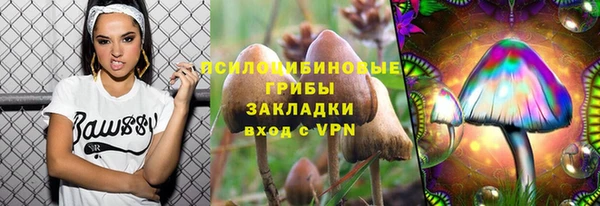 стаф Абаза