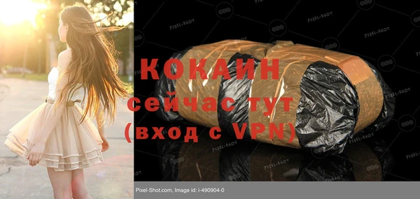 молекула духа Алексин