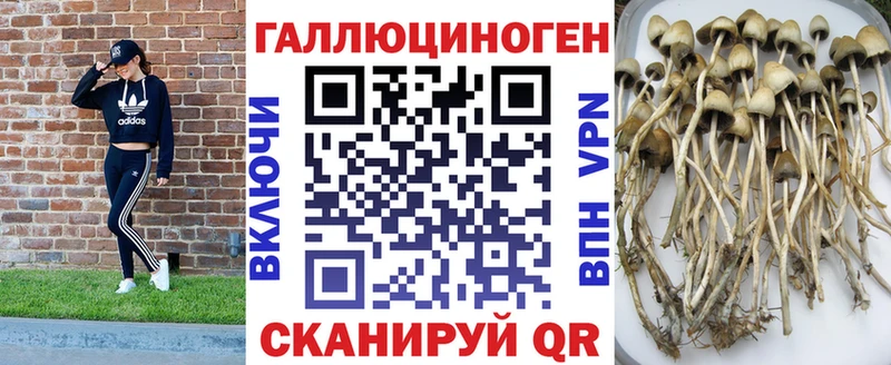 это состав  Отрадная  Галлюциногенные грибы Psilocybine cubensis 